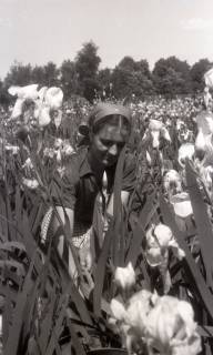 ARH NL Koberg 4916, Frau in einem Feld von Blumen, zwischen 1947/1948