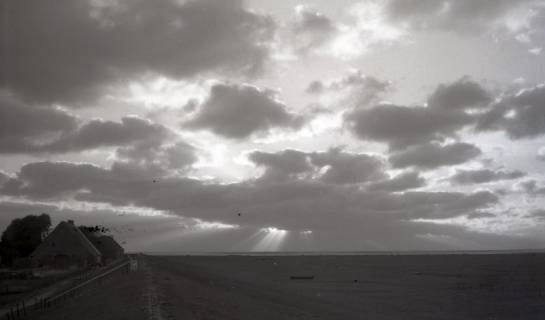 ARH NL Koberg 5405, Weide, Wolken und Meer, Insel Neuwerk, 1958