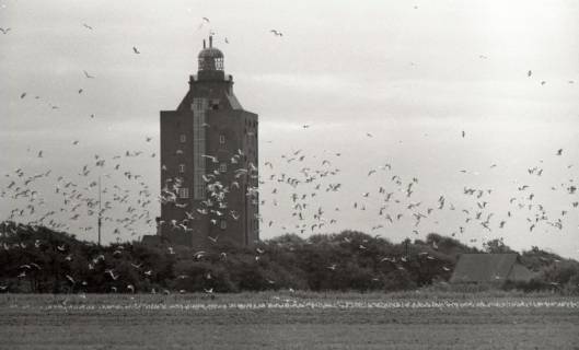 ARH NL Koberg 5474, Leuchtturm und Möwen, Insel Neuwerk, 1957