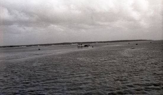 ARH NL Koberg 5486, Pferdewagen im Watt, Insel Neuwerk, 1957