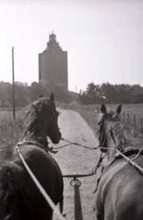 ARH NL Koberg 5571, Pferdewagen und Leuchtturm, Insel Neuwerk, 1957