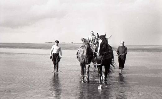 ARH NL Koberg 5598, Personen und Pferdewagen im Watt, Insel Neuwerk, 1957