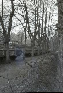 ARH NL Koberg 5817, Alliierte Lastwagen in der Herrenhäuser Allee, Hannover, 1948