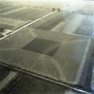 ARH NL Koberg 5961, Felder bei Eldagsen, 1958