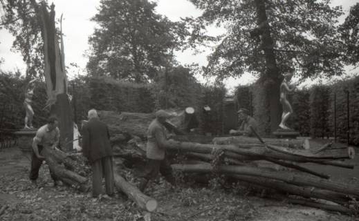 ARH NL Koberg 6433, Sturmschäden in Herrenhausen, Hannover, 1951