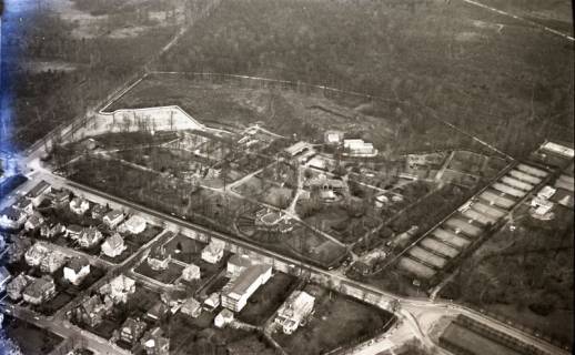 ARH NL Koberg 8465, Hannover Zoo, 1957