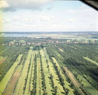 ARH NL Koberg 8493, Obstplantagen im Alten Land, Jork, 1957