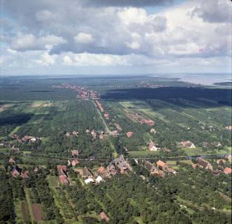 ARH NL Koberg 8494, Obstplantagen im Alten Land, Jork, 1957