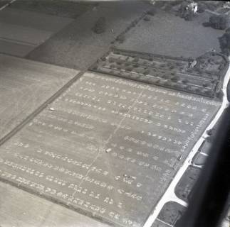 ARH NL Koberg 8627, Getreideernte Hameln , 1957