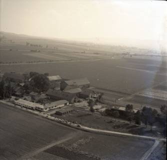 ARH NL Koberg 8650, Getreideernte und Kuhherde , 1957