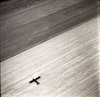 ARH NL Koberg 8657, Getreideernte, 1957