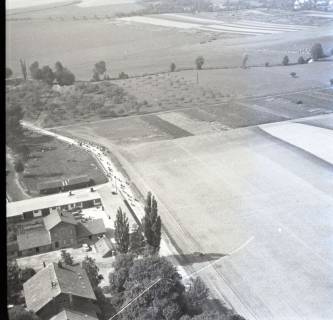 ARH NL Koberg 8658, Getreideernte und Kuhherde, 1957
