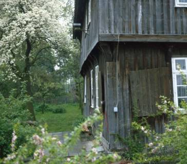 ARH NL Machinowski 6, Verwilderter Garten eines Wohngebäudes, Uetze, 1982