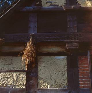 ARH NL Machinowski 35, Detailaufnahme an einem Fachwerkbau, Wackerwinkel , 1985