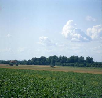 ARH NL Machinowski 352, Felder bei Lenthe, 1981