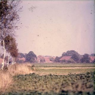 ARH NL Machinowski 441, Stöckendrebber, 1979