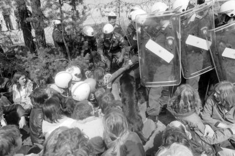 ARH NL Mellin 01-038/0005, Anti-AKW-Demonstration, Gorleben, nach 1978