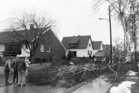 ARH NL Mellin 01-047/0008, Umgefallener Baum auf der Straße "Heutrift" vor dem Haus Nr. 15, Schillerslage, ohne Datum