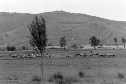 ARH NL Mellin 01-068/0005, Bulgarien?, zwischen 1975/1976