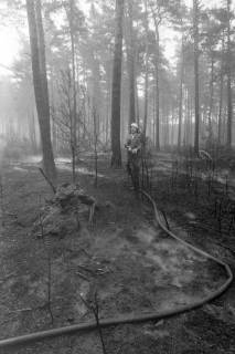 ARH NL Mellin 01-106/0013, Feuerwehr im Wald, ohne Datum