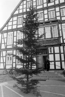 ARH NL Mellin 01-124/0005, Tannenbaum vor dem Rathaus I, Burgdorf, ohne Datum