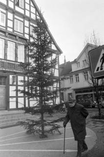 ARH NL Mellin 01-124/0006, Tannenbaum vor dem Rathaus I, Burgdorf, ohne Datum