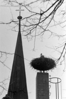 ARH NL Mellin 01-131/0011, Storch im Nest vor einem Kirchturm, ohne Datum