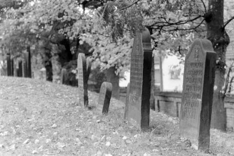 ARH NL Mellin 01-149/0001, Grabsteine auf einem jüdischen Friedhof, ohne Datum