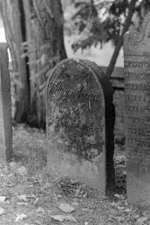 ARH NL Mellin 01-149/0002, Grabsteine auf einem jüdischen Friedhof, ohne Datum