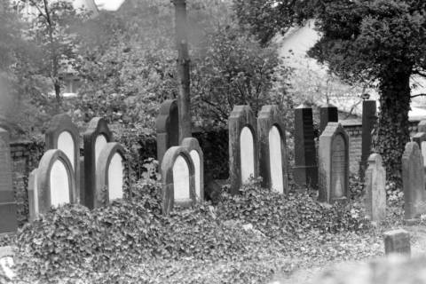ARH NL Mellin 01-149/0003, Grabsteine auf einem jüdischen Friedhof, ohne Datum