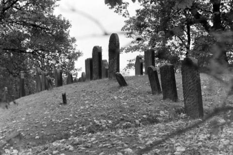 ARH NL Mellin 01-149/0004, Grabsteine auf einem jüdischen Friedhof, ohne Datum
