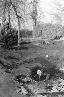ARH NL Mellin 01-160/0004, Gräber auf einem Friedhof, ohne Datum