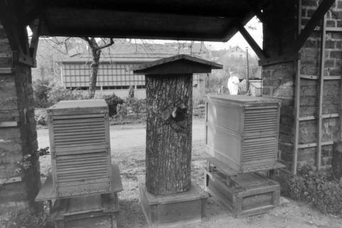 ARH NL Mellin 01-178/0010, Bienenstöcke im Bienengarten des Bieneninstituts, Celle, ohne Datum