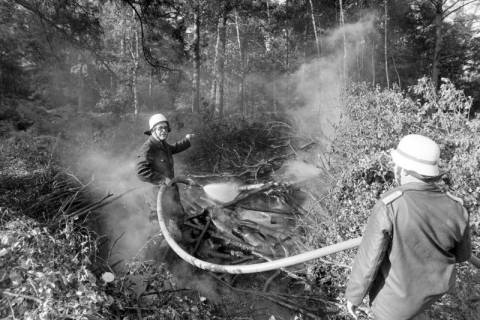 ARH NL Mellin 01-198/0019, Feuerwehr beim Löschen eines Holzhaufens an einem Wald, ohne Datum