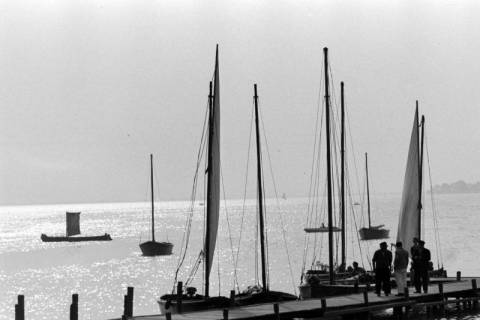 ARH NL Mellin 02-001/0018, Segelboote auf dem Steinhuder Meer, Steinhude, ohne Datum