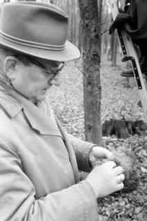 ARH NL Mellin 02-003/0016, Mann untersucht ein Vogelnest, ohne Datum