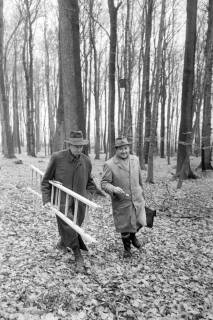 ARH NL Mellin 02-003/0018, Männer mit Leiter in einem Wald, ohne Datum