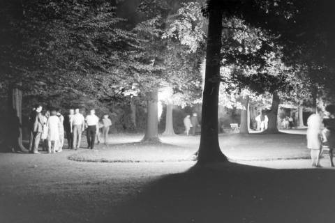 ARH NL Mellin 02-009/0016, Menschen im Park bei Nacht, ohne Datum