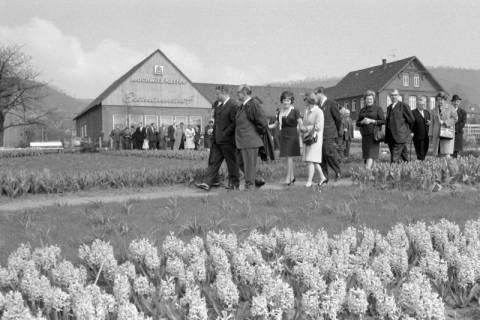 ARH NL Mellin 02-012/0013, Gruppe von Menschen bei einer Blumenschau am Essmannshof, Deckbergen, um 1970