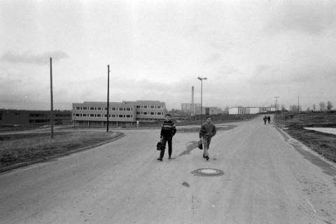 ARH NL Mellin 02-012/0019, Neubaugebiet, ohne Datum