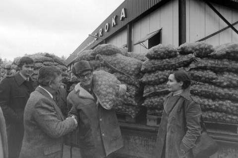 ARH NL Mellin 02-025/0005, Personen und Säcke mit Kartoffeln vor dem Lager des Groß-Kartoffelvertriebs Dollbergen GROKA, Dollbergen, zwischen 1970/1984