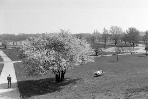 ARH NL Mellin 02-064/0018, Blick über einen Park, im Hintergrund die Kathedrale des Heiligen Erzengels Michael und des Heiligen Märtyrers Florian, Warschau, ohne Datum