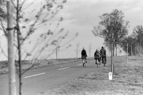 ARH NL Mellin 02-068/0002, Drei Schüler beim Fahrradfahren auf einer Landstraße, ohne Datum