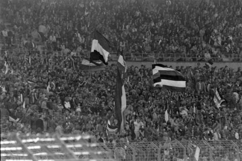 ARH NL Mellin 02-081/0012, Fans von Hannover 96 auf der Hauptribüne des Niedersachsenstadions, Hannover, ohne Datum