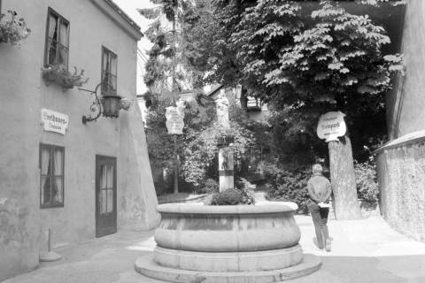 ARH NL Mellin 02-083/0009, Beethoven-Brunnen im Innenhof des Rudolfshofs, Grinzing, ohne Datum