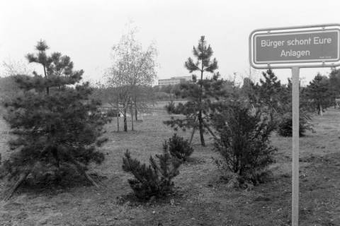 ARH NL Mellin 02-097/0020, Grünanlage mit Hinweisschild, Lehrte, ohne Datum