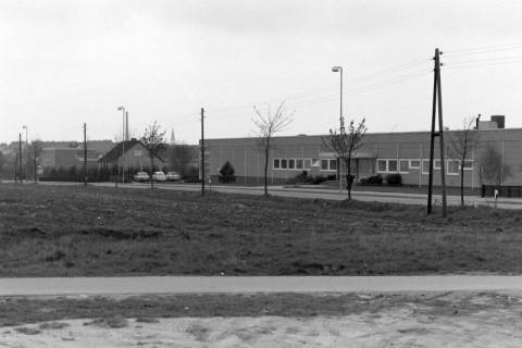 ARH NL Mellin 02-100/0011, Blick vom Mühlenweg auf die Gebäude an der Straße "Vor dem Celler Tor" mit der Pankratiuskirche im Hintergrund, Burgdorf, um 1970