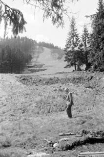 ARH NL Mellin 02-122/0007, Ein Mann auf einer Wiese neben einem Wald stehend, um 1975