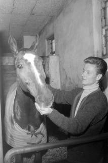 ARH NL Mellin 02-122/0014, Reiter neben seinem Pferd in der Stallbox, um 1975