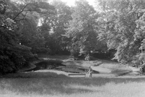 ARH NL Mellin 02-125/0008, Blick auf einen Teich in einem Waldstück, um 1975